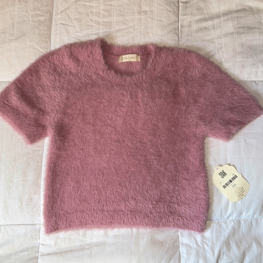 Altar’d State Womens Mauve Fuzzy Soft Short Sleeve Crop Top, Size M, Tags On